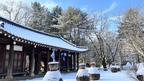 From Seoul: Alpaca World, Nami Island, Rail Bike and Garden of Morning Calm Tour Day Tours From Seoul: Alpaca World, Nami Island, Rail Bike and Garden of Morning Calm Tour Day Tours in Seoul - Photo 6