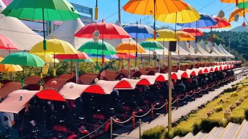 Gyeonggi Province|1-day tour to Gangchon Rail Park + Alpaca World Day Tours Gyeonggi Province|1-day tour to Gangchon Rail Park + Alpaca World Day Tours in Seoul - Photo 5