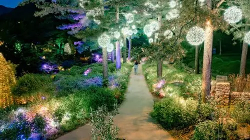 Alpaca World + Gangchon Railbike + Nami Island + Garden Light Festival One Day Tour (Depart from Seoul) Day Tours Alpaca World + Gangchon Railbike + Nami Island + Garden Light Festival One Day Tour (Depart from Seoul) Day Tours in Seoul - Photo 7
