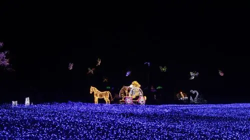 Alpaca World + Gangchon Railbike + Nami Island + Garden Light Festival One Day Tour (Depart from Seoul) Day Tours Alpaca World + Gangchon Railbike + Nami Island + Garden Light Festival One Day Tour (Depart from Seoul) Day Tours in Seoul - Photo 10