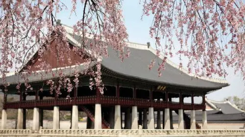 Seoul ancient capital stroll | Gyeongbokgung Palace & Bukchon Hanok Village immersive experience Day Tours Seoul ancient capital stroll | Gyeongbokgung Palace & Bukchon Hanok Village immersive experience Day Tours in Seoul - Photo 5
