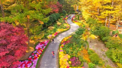 Nami Island + The Garden of Morning Calm One Day Tour (From Seoul) Day Tours Nami Island + The Garden of Morning Calm One Day Tour (From Seoul) Day Tours in Seoul - Photo 10