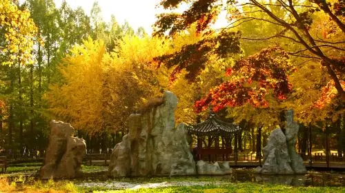 Nami Island + Petite France & Italian Village + Gangchon Railbike + The Garden of Morning Calm One Day Tour (From Seoul) Day Tours in Seoul
