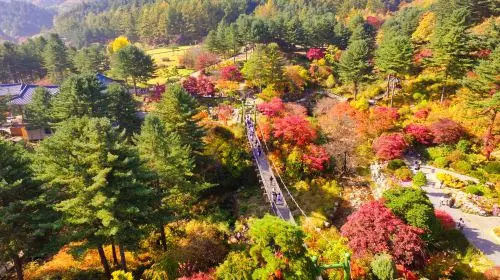 Nami Island + Petite France & Italian Village + Gangchon Railbike + The Garden of Morning Calm One Day Tour (From Seoul) Day Tours Nami Island + Petite France & Italian Village + Gangchon Railbike + The Garden of Morning Calm One Day Tour (From Seoul) Day Tours in Seoul - Photo 11