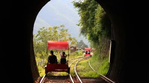 Gyeonggi Province|Nami Island X Gangchon Rail Bike X Morning Calm Arboretum Day Tours Gyeonggi Province|Nami Island X Gangchon Rail Bike X Morning Calm Arboretum Day Tours in Seoul - Photo 6