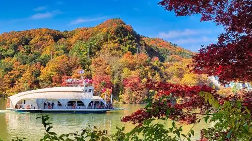 Gyeonggi Province|Nami Island X Gangchon Rail Bike X Morning Calm Arboretum Day Tours Gyeonggi Province|Nami Island X Gangchon Rail Bike X Morning Calm Arboretum Day Tours in Seoul - Photo 10