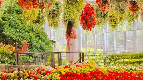 Gyeonggi-do, South Korea|Gapyeong Begonia Bird Park X Rail Bike X Garden of Morning Calm Day Tours in Seoul