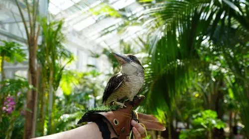 Gyeonggi-do, South Korea|Gapyeong Begonia Bird Park X Rail Bike X Garden of Morning Calm Day Tours Gyeonggi-do, South Korea|Gapyeong Begonia Bird Park X Rail Bike X Garden of Morning Calm Day Tours in Seoul - Photo 10
