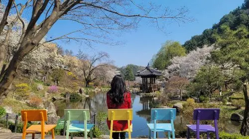 Gyeonggi Province|Nami Island x Petite France x Italian Village x The Garden of Morning Calm Day Tours Gyeonggi Province|Nami Island x Petite France x Italian Village x The Garden of Morning Calm Day Tours in Seoul - Photo 5