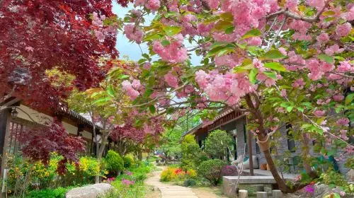 Gyeonggi Province|Nami Island x Petite France x Italian Village x The Garden of Morning Calm Day Tours Gyeonggi Province|Nami Island x Petite France x Italian Village x The Garden of Morning Calm Day Tours in Seoul - Photo 7