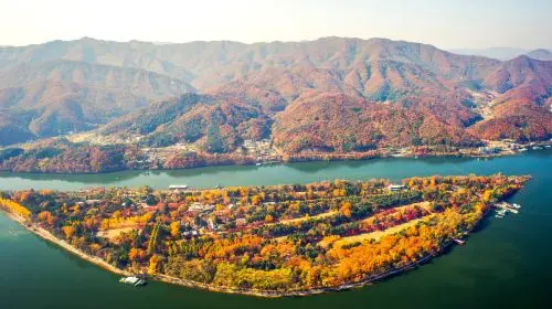 Gyeonggi Province|Nami Island x Petite France x Italian Village x The Garden of Morning Calm Day Tours Gyeonggi Province|Nami Island x Petite France x Italian Village x The Garden of Morning Calm Day Tours in Seoul - Photo 8
