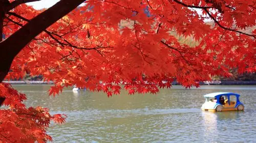 Pocheon 1-day tour: Sanjung Lake + Gukdonggeori Waterfall + Pocheon Herb Island Pocheon 1-day tour: Sanjung Lake + Gukdonggeori Waterfall + Pocheon Herb Island in Seoul - Photo 2