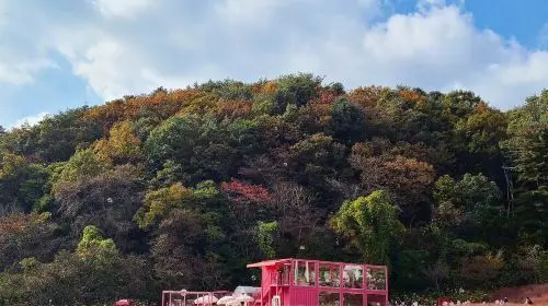 Pocheon 1-day tour: Sanjung Lake + Gukdonggeori Waterfall + Pocheon Herb Island Pocheon 1-day tour: Sanjung Lake + Gukdonggeori Waterfall + Pocheon Herb Island in Seoul - Photo 3