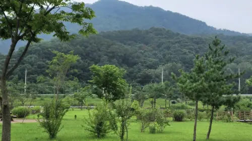 Pocheon 1-day tour: Sanjung Lake + Gukdonggeori Waterfall + Pocheon Herb Island Pocheon 1-day tour: Sanjung Lake + Gukdonggeori Waterfall + Pocheon Herb Island in Seoul - Photo 6