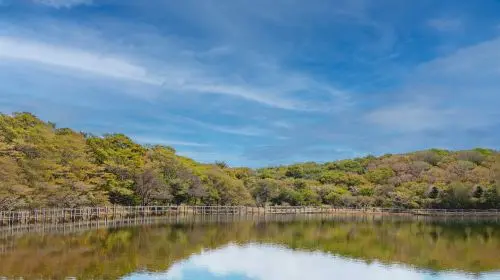 Pocheon 1-day tour: Sanjung Lake + Gukdonggeori Waterfall + Pocheon Herb Island Pocheon 1-day tour: Sanjung Lake + Gukdonggeori Waterfall + Pocheon Herb Island in Seoul - Photo 7