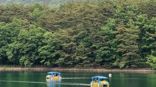 Pocheon 1-day tour: Sanjung Lake + Gukdonggeori Waterfall + Pocheon Herb Island Pocheon 1-day tour: Sanjung Lake + Gukdonggeori Waterfall + Pocheon Herb Island in Seoul - Photo 10