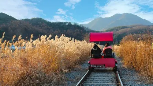 Nami Island X Chuncheon Samaksan Cable Car X Gapyeong Rail Bike Day Tours in Seoul