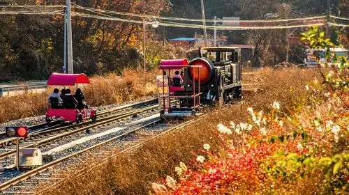 Gyeonggi Province|Gangchon Rail Park X Petite France & Italian Village X Nami Island Day Tours Gyeonggi Province|Gangchon Rail Park X Petite France & Italian Village X Nami Island Day Tours in Seoul - Photo 3