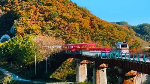 Gyeonggi Province|Gangchon Rail Park X Petite France & Italian Village X Nami Island Day Tours Gyeonggi Province|Gangchon Rail Park X Petite France & Italian Village X Nami Island Day Tours in Seoul - Photo 8