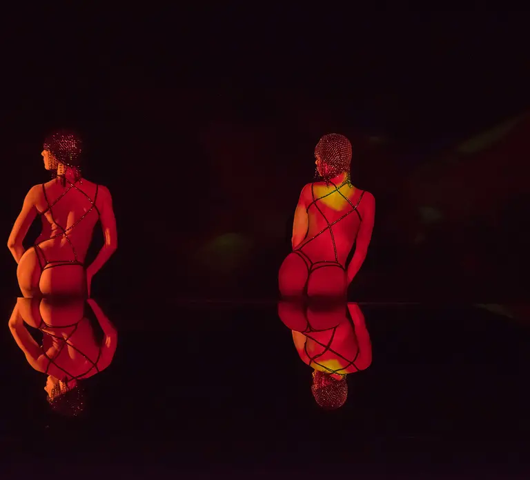 Paris: Crazy Horse Cabaret Show in Paris - Photo 9