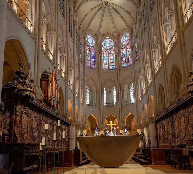 Paris: Notre-Dame Professional Guided Tour with Free Entry in Paris