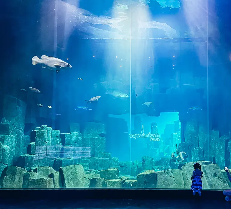 Paris: Aquarium de Paris Entrance Ticket in Paris - Photo 9