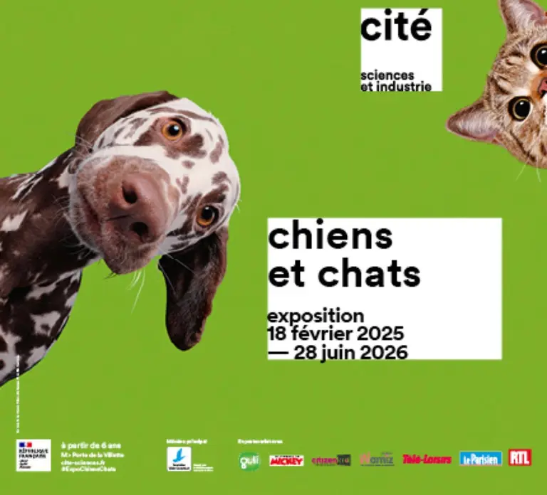 Paris: City of Science and Industry Museum Entry Ticket in Paris - Photo 6