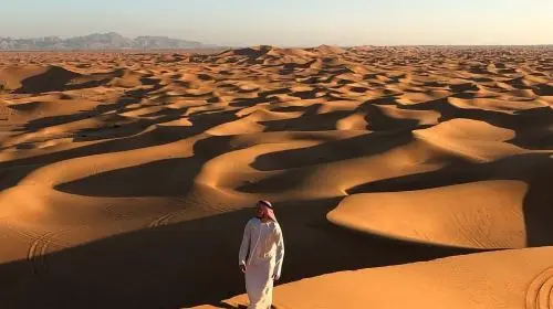 Dubai Desert Safari Day Tour [Popular Desert Camp + Sunset + Camel Ride + Performances + Dinner] Day Tours in Dubai - Photo 8