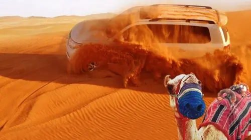 Dubai Desert Safari 1-day tour, High-Quality Red Sand + Transfers + Camel Ride + Dinner + Show + Hand Painting Day Tours in Dubai