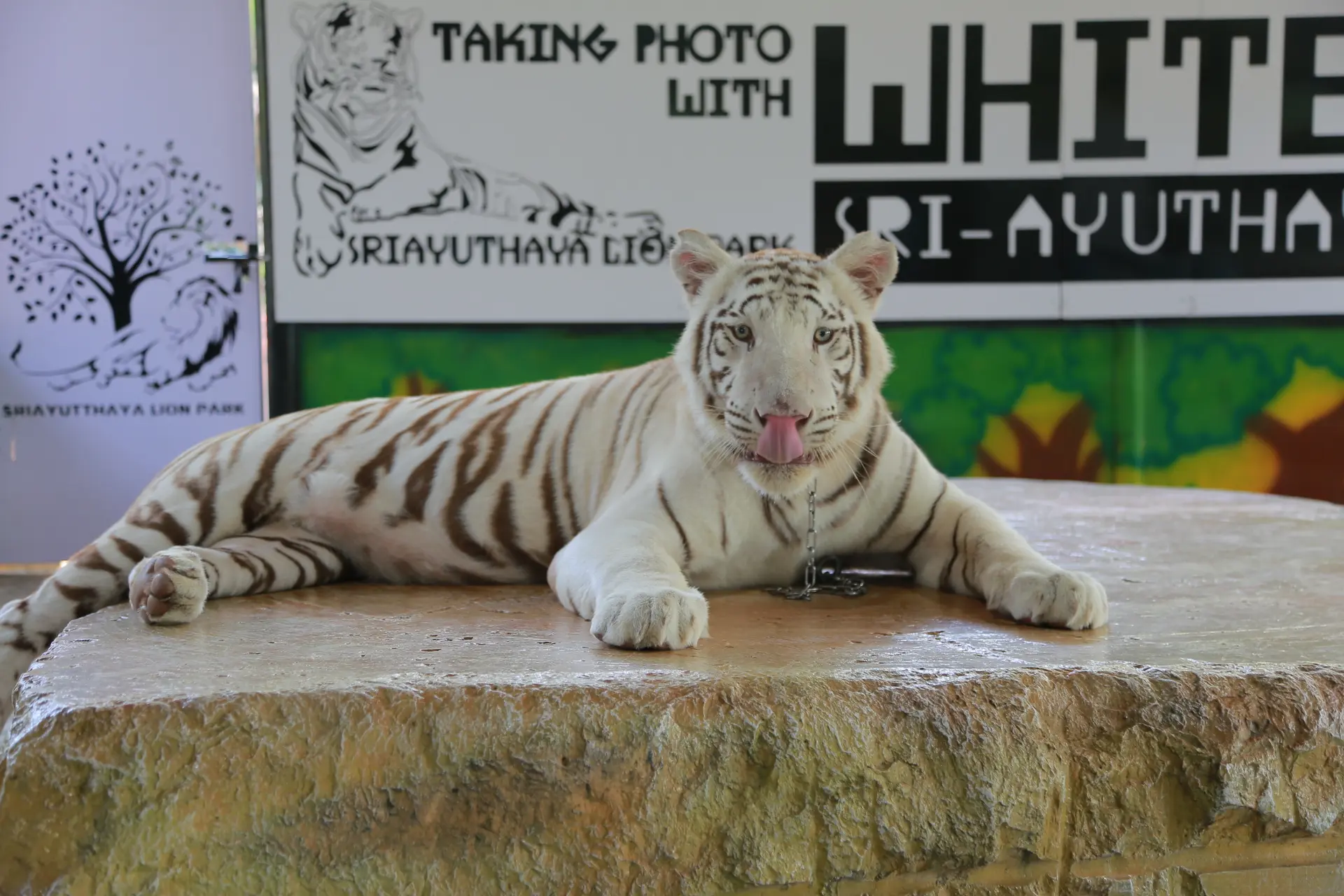 Sriayuthaya Lion Park Sriayuthaya Lion Park in Bangkok - Photo 5