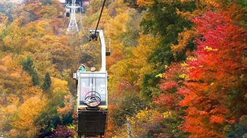 1-day tour with free cable car · Tokyo Fuji mountain Kawaguchiko panoramic cable car · viral Lawson · Oshino hakkai in Tokyo - Photo 6