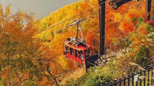 1-day tour with free cable car · Tokyo Fuji mountain Kawaguchiko panoramic cable car · viral Lawson · Oshino hakkai in Tokyo - Photo 7