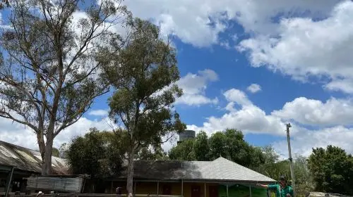 Calmsley Hill City Farm in Sydney