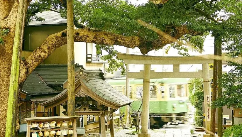 A complete tour of filming locations for Netflix Korean dramas in Kamakura | Gokurakuji Temple, Goryo Shrine, and Enoshima Island day trip A complete tour of filming locations for Netflix Korean dramas in Kamakura | Gokurakuji Temple, Goryo Shrine, and Enoshima Island day trip in Tokyo - Photo 4