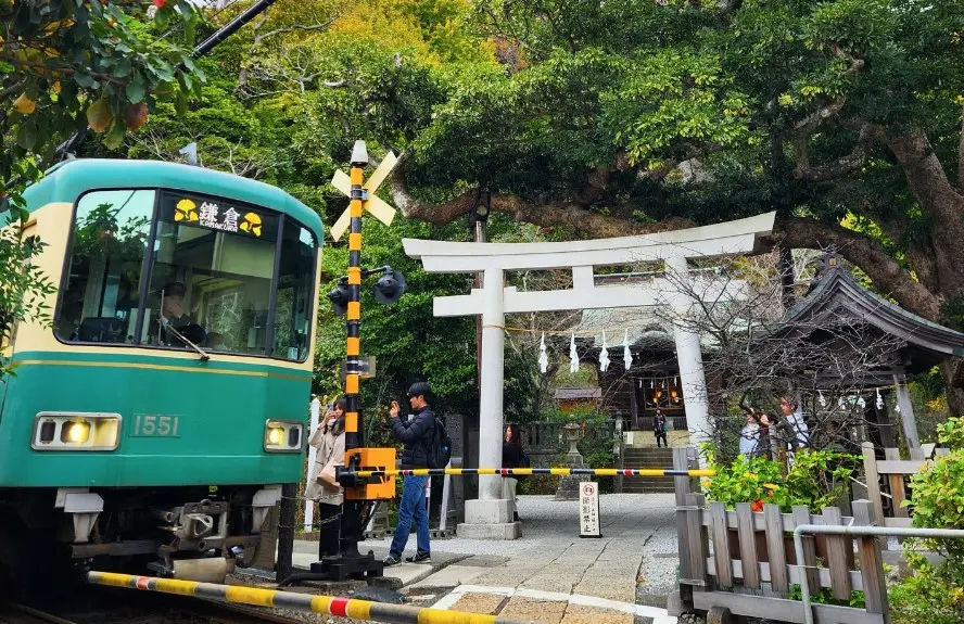 A complete tour of filming locations for Netflix Korean dramas in Kamakura | Gokurakuji Temple, Goryo Shrine, and Enoshima Island day trip A complete tour of filming locations for Netflix Korean dramas in Kamakura | Gokurakuji Temple, Goryo Shrine, and Enoshima Island day trip in Tokyo - Photo 9