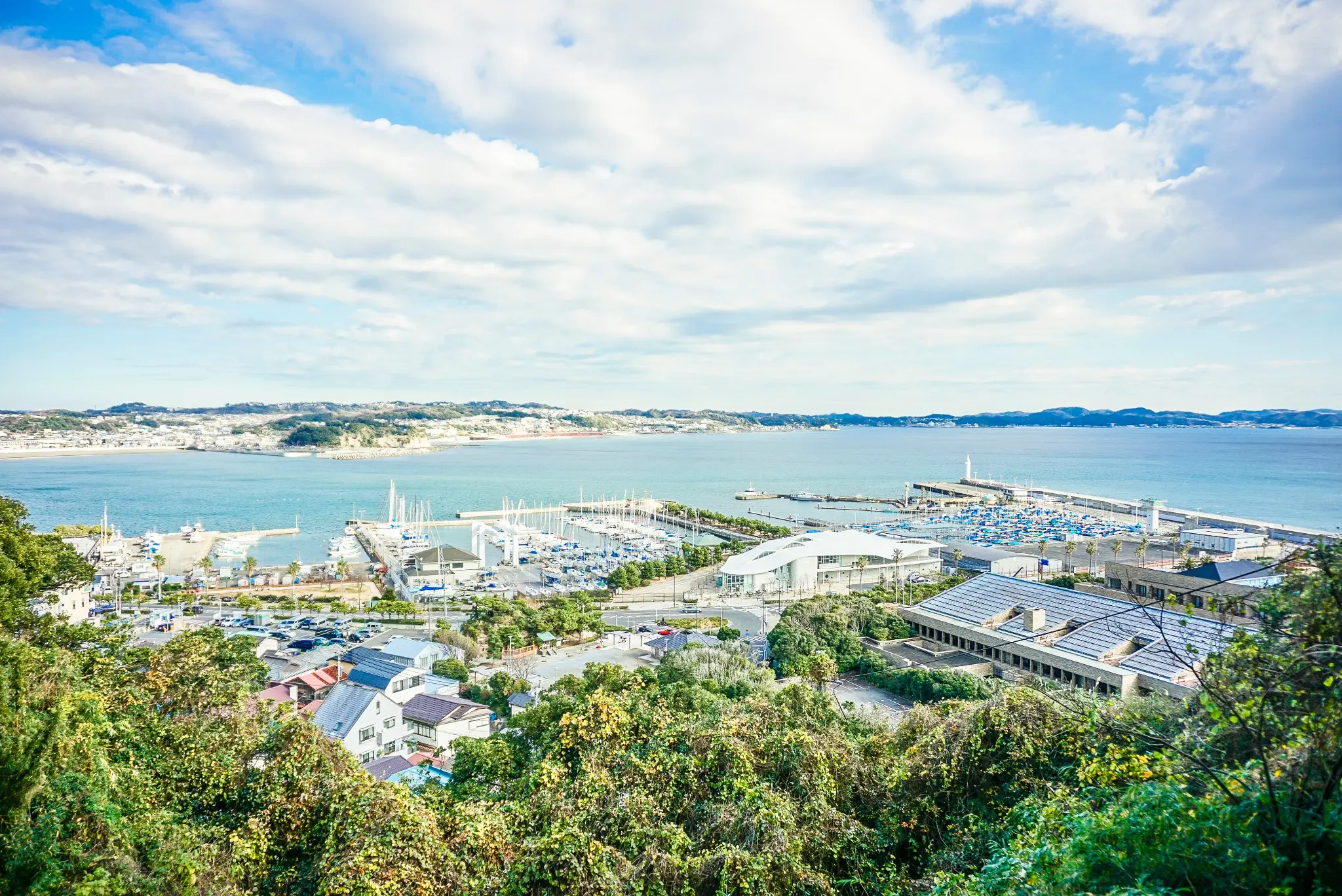 A complete tour of filming locations for Netflix Korean dramas in Kamakura | Gokurakuji Temple, Goryo Shrine, and Enoshima Island day trip A complete tour of filming locations for Netflix Korean dramas in Kamakura | Gokurakuji Temple, Goryo Shrine, and Enoshima Island day trip in Tokyo - Photo 11