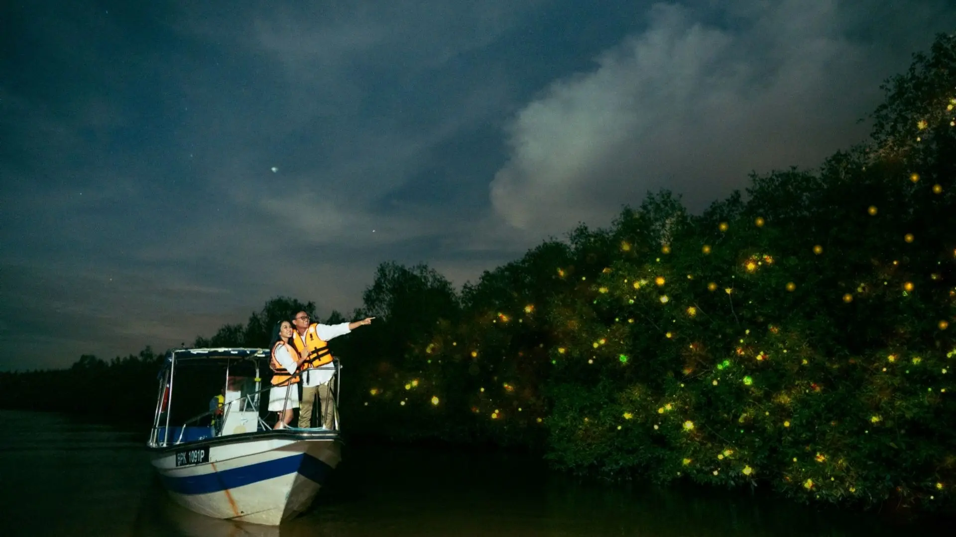 Fireflies Tour with Blue Tears Watching, Eagle Feeding and Seafood Dinner in Kuala Lumpur