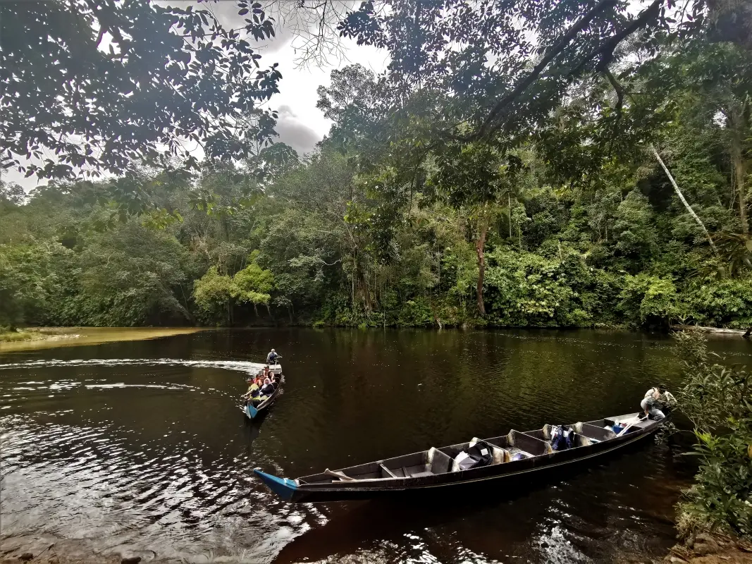 Taman Negara Tour with Lata Berkoh Falls & River Expedition (Shared) in Kuala Lumpur