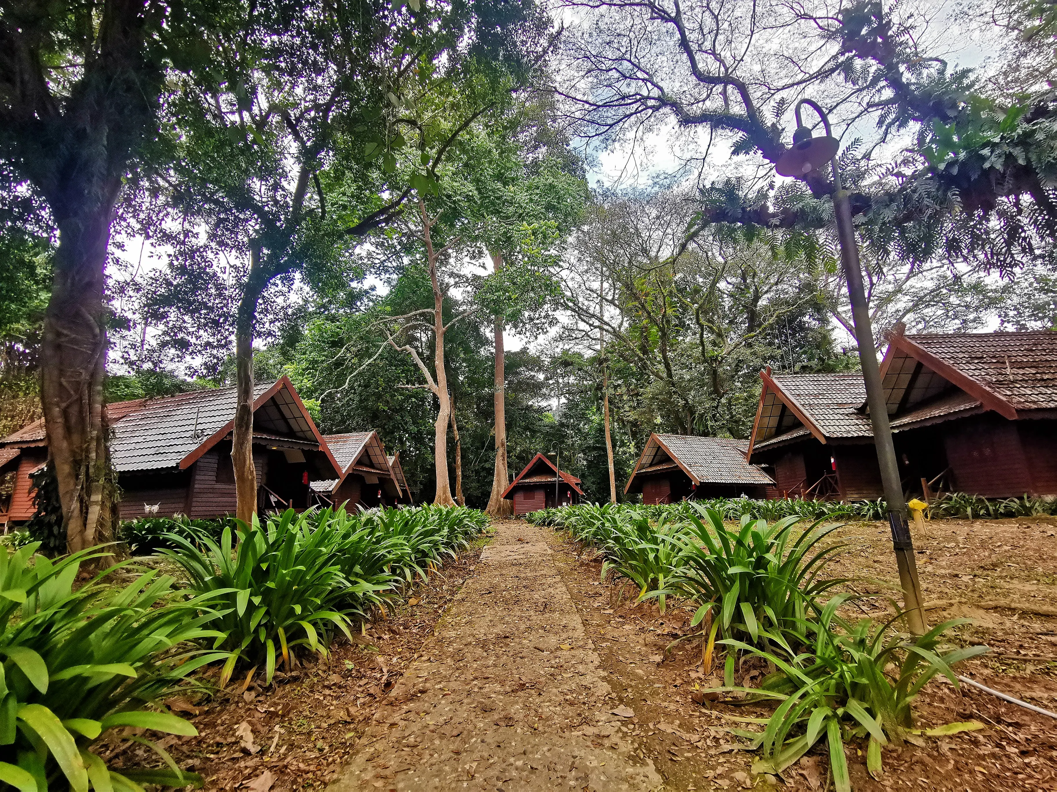 Taman Negara Tour with Lata Berkoh Falls & River Expedition (Shared) in Kuala Lumpur - Photo 7