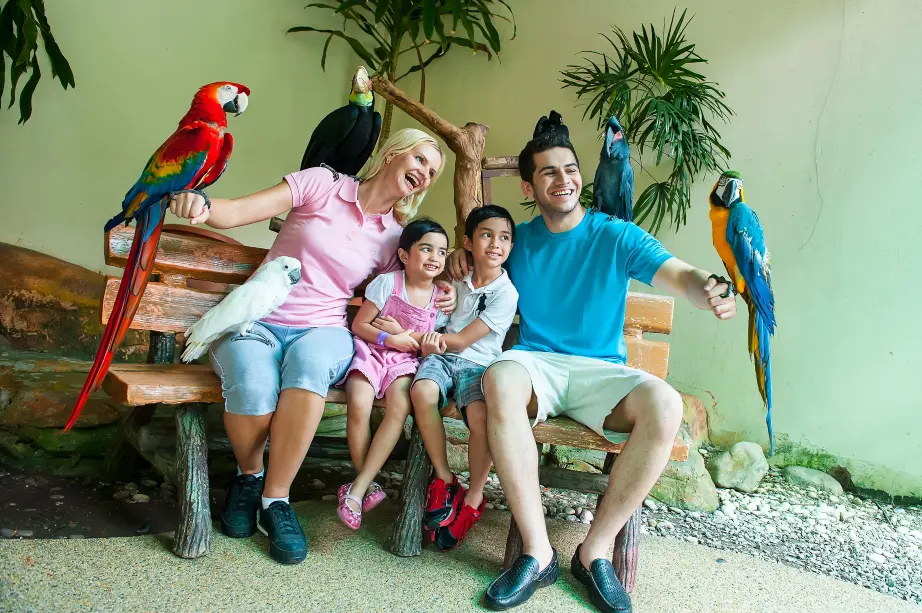 KL Bird Park, Butterfly Park and Garden Tour with Scenic Buggy Ride (Private) in Kuala Lumpur