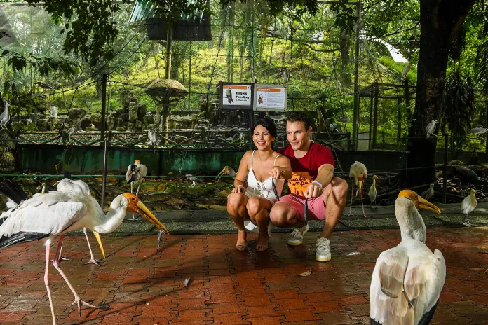 KL Bird Park Ticket with 1-way transfer (Shared tour) in Kuala Lumpur