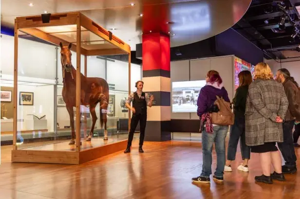 Melbourne Museum in Melbourne - Photo 6