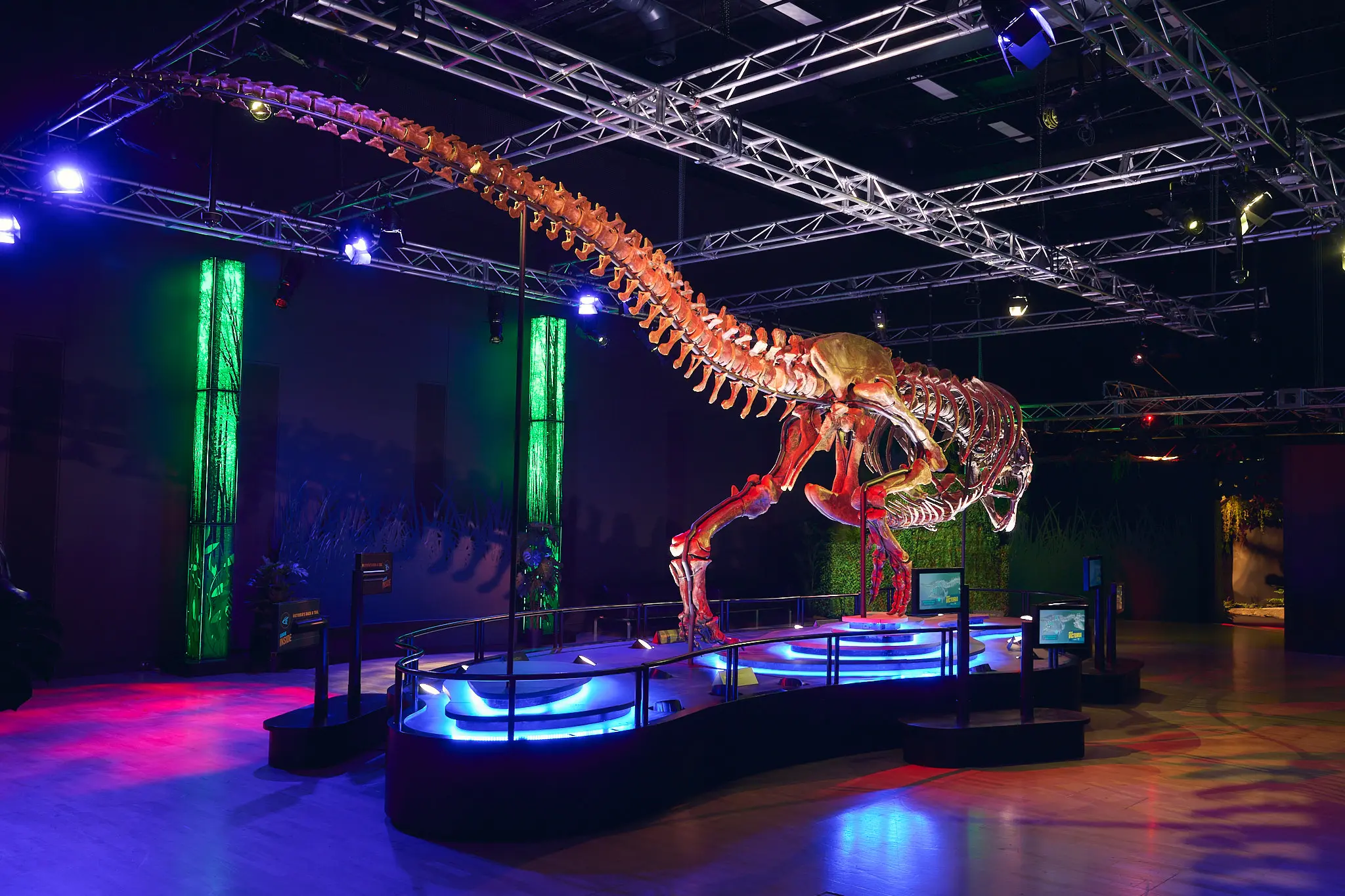 Melbourne Museum in Melbourne - Photo 11