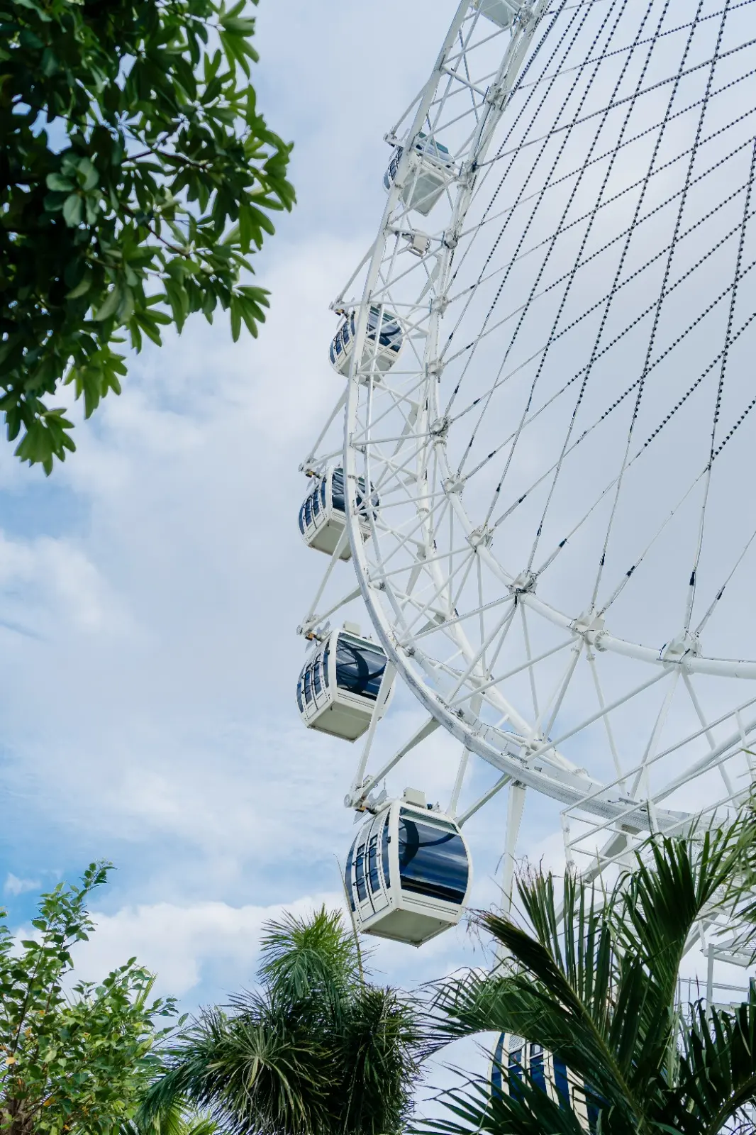 The Wheel Bali The Wheel Bali in Bali - Photo 9
