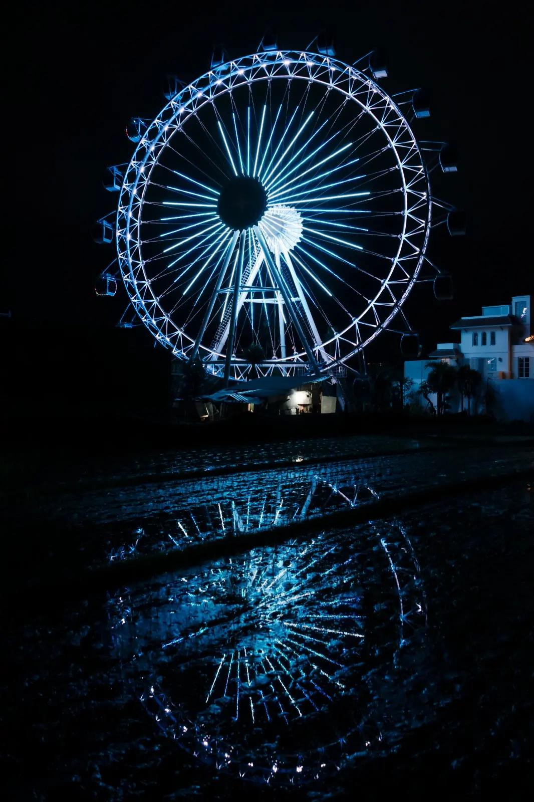 The Wheel Bali The Wheel Bali in Bali - Photo 14