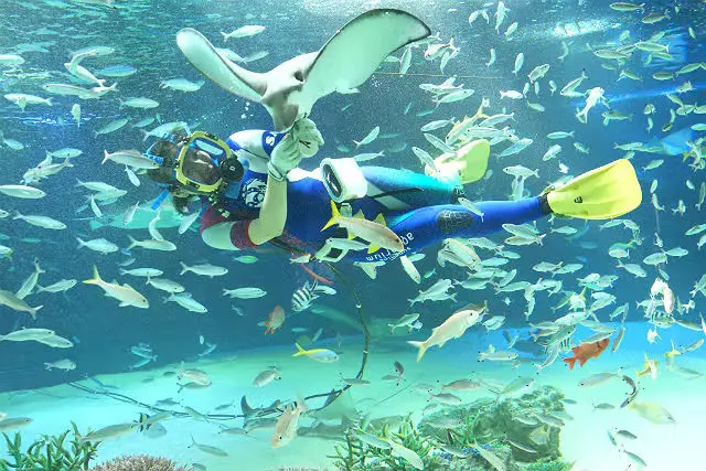 Sunshine Aquarium Sunshine Aquarium in Tokyo - Photo 2