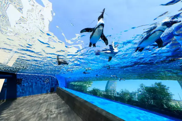 Sunshine Aquarium in Tokyo
