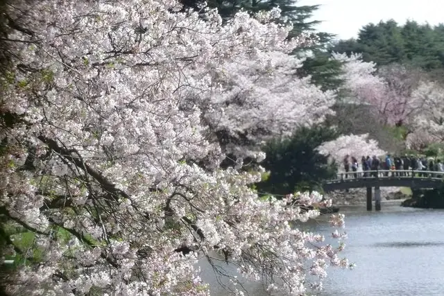 Shinjuku Gyoen National Garden (Must be sold at the original price) in Tokyo - Photo 3