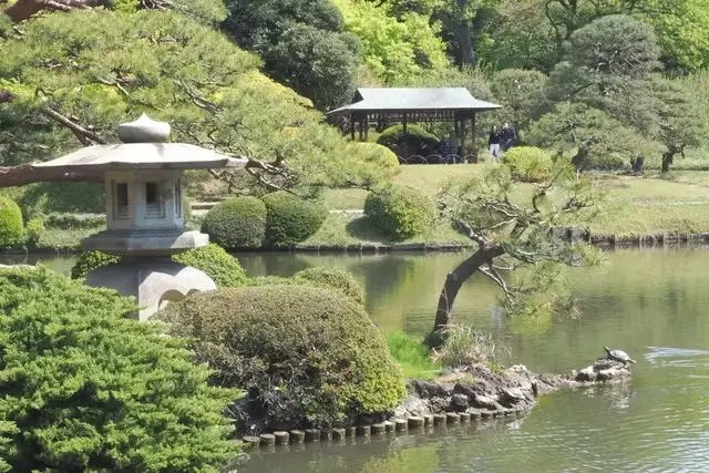 Shinjuku Gyoen National Garden (Must be sold at the original price) in Tokyo - Photo 5