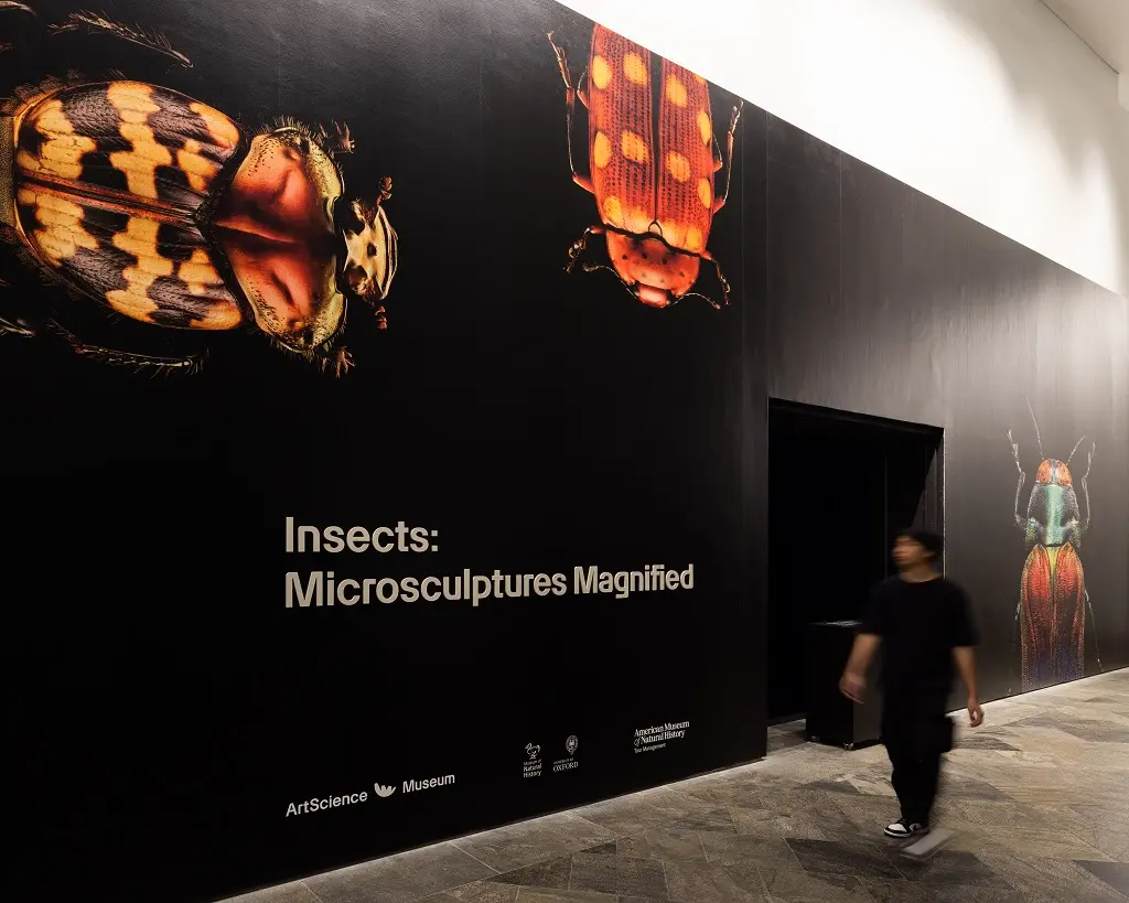 ArtScience Museum at Marina Bay Sands in Singapore - Photo 3